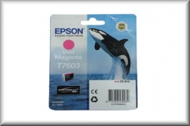 Epson Tintenpatrone T76034010 (25,9ml - magenta)