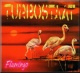 Turbostaat - Flamingo (LP)