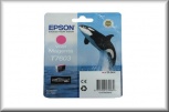 Epson Tintenpatrone T76034010 (25,9ml - magenta)