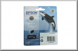 Epson Tintenpatrone T76074010 (25,9ml - light black)