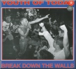 Youth Of Today - Break Down the Walls (LP + MP3)